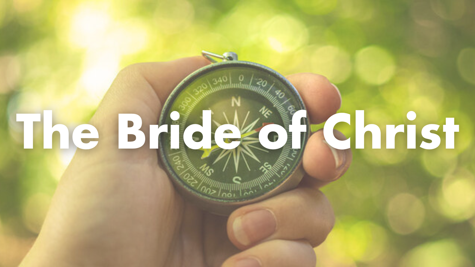 The_Bride_of_Christ.png