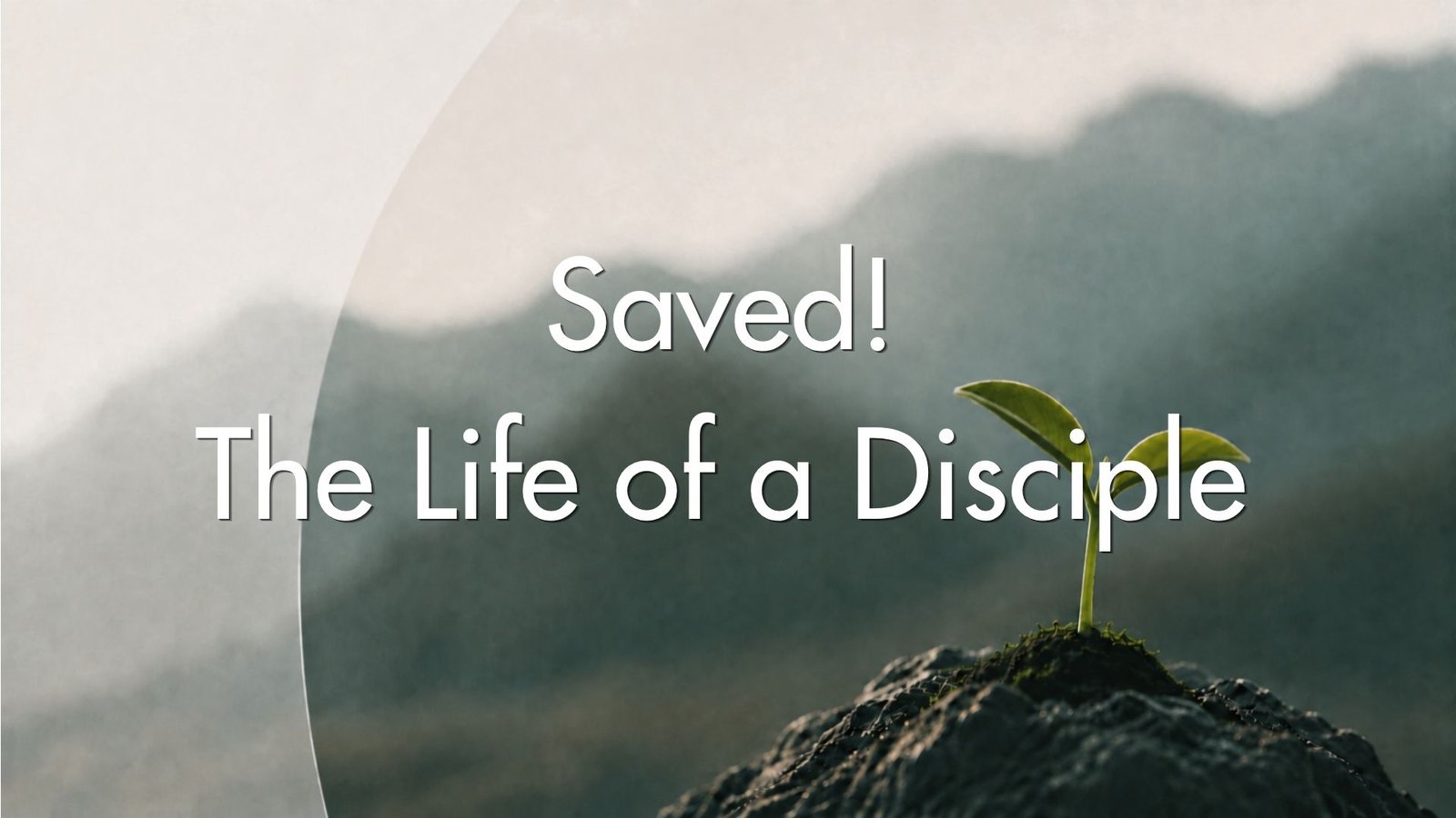 New_Life_Website_Images_1.jpg