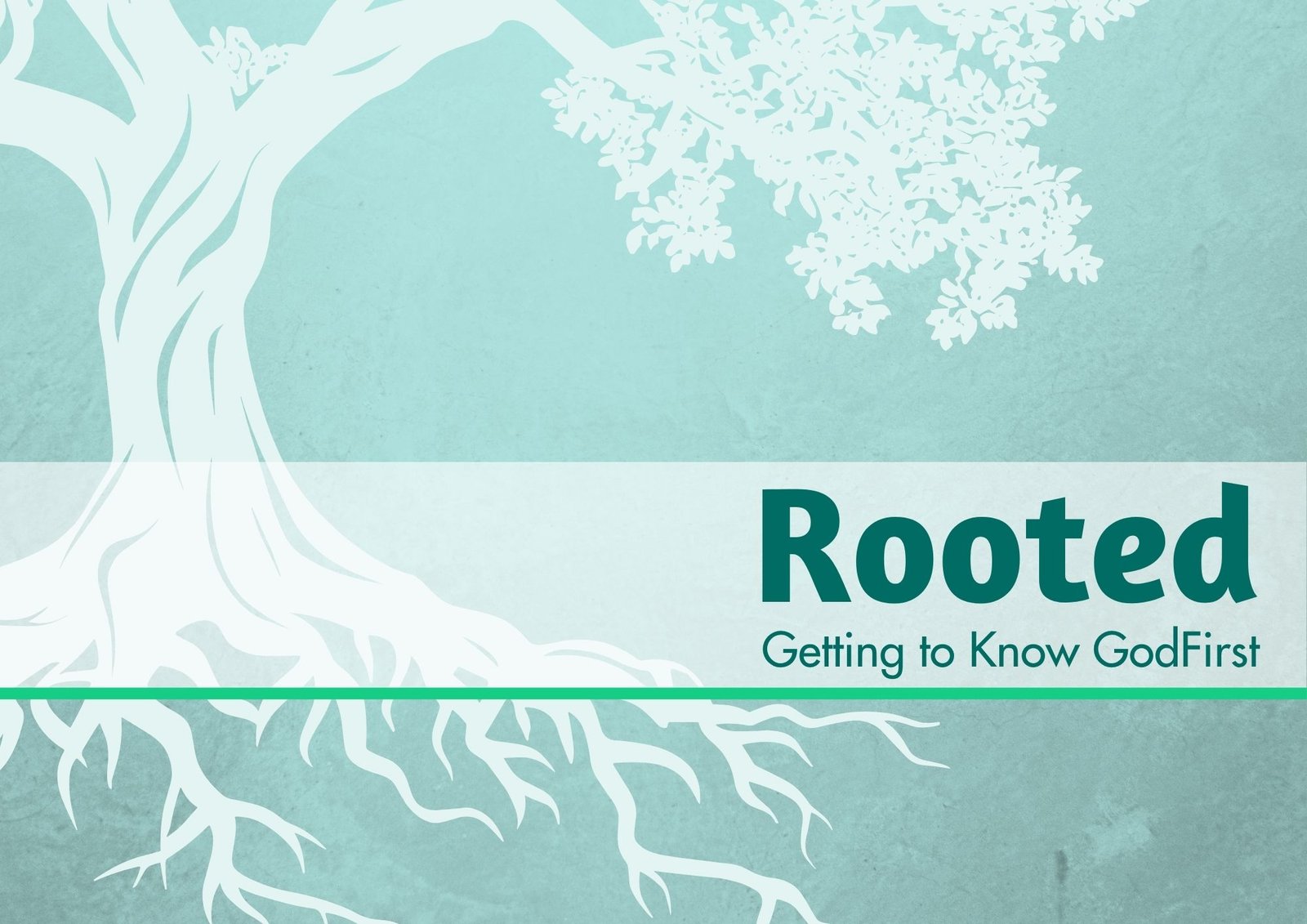 254de0810_Rooted.jpg